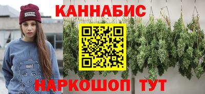 крисы Новодвинск