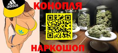 гидропоника Наро-Фоминск