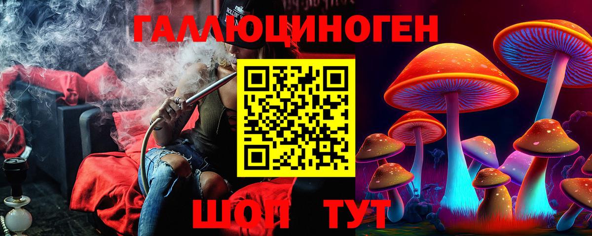 Советск  Псилоцибиновые грибы ЛСД  Псилоцибиновые грибы Magic Shrooms  Вход с VPN 